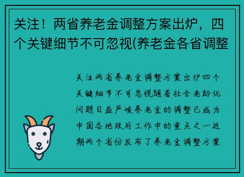 关注！两省养老金调整方案出炉，四个关键细节不可忽视(养老金各省调整方案)