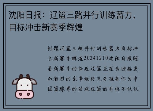 沈阳日报：辽篮三路并行训练蓄力，目标冲击新赛季辉煌